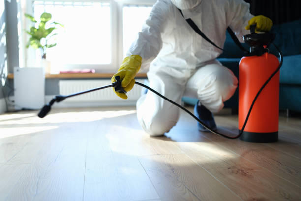 Reliable Odor Removal contractor in Emerson, NJ by Trauma Clean Pros